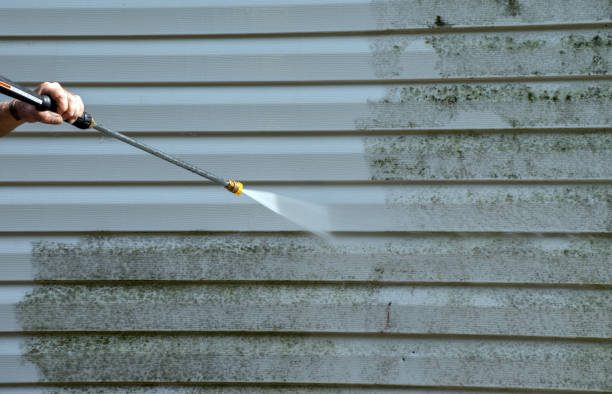 Best Attic Mold Removal  in Murphy, NC