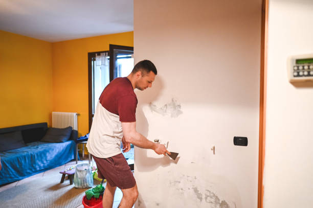Best Attic Mold Removal  in Murphy, NC