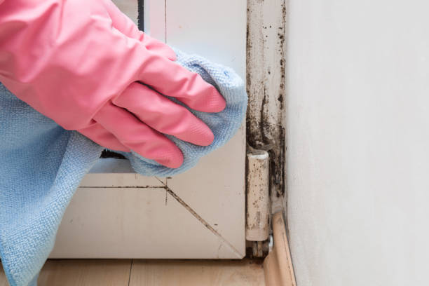 Water Damage Restoration in Murphy, NC
